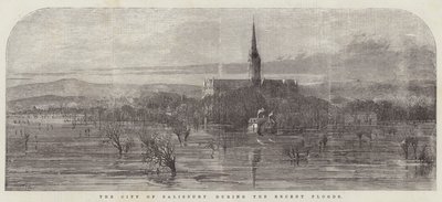 Die Stadt Salisbury während der jüngsten Überschwemmungen von Samuel Read